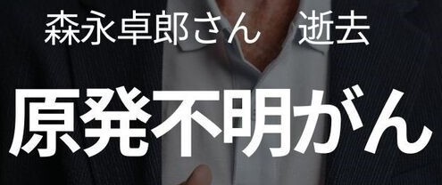 morinagasan genpatufumeigan